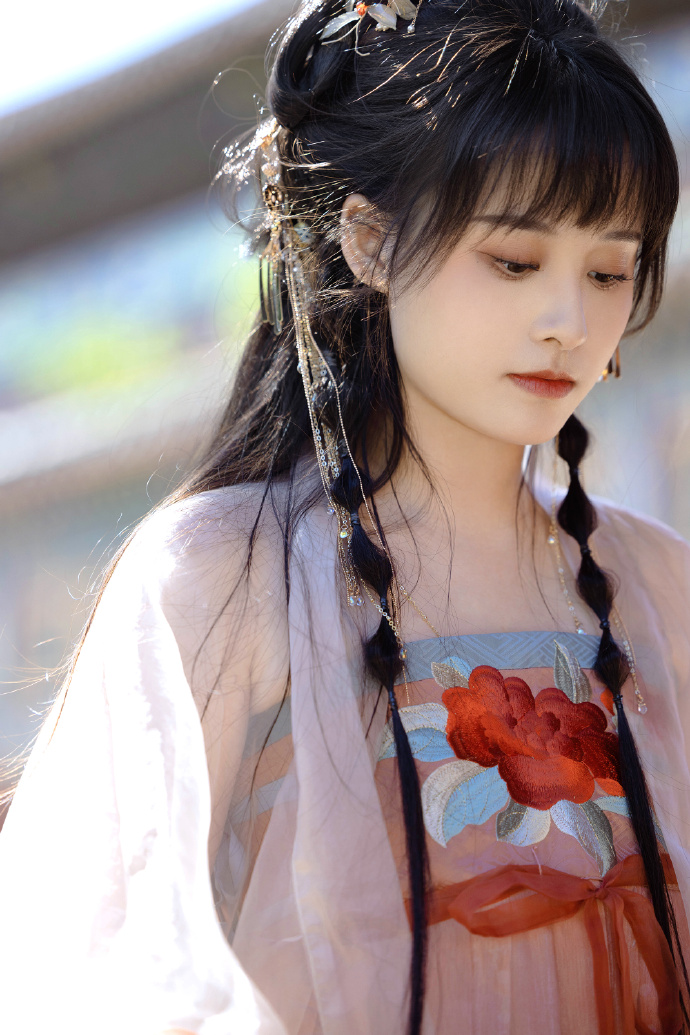 风骚律师