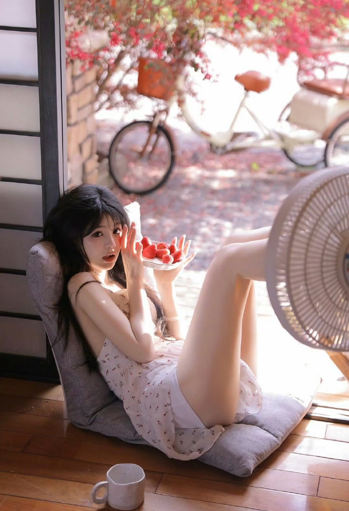 风骚律师